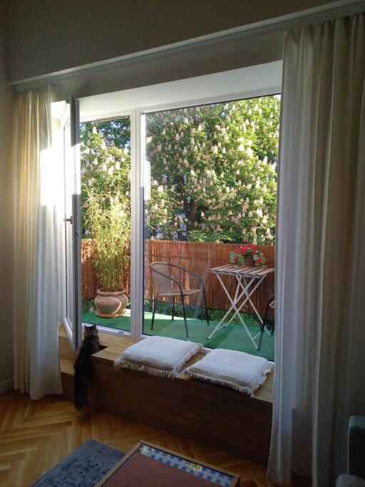 Studio Delux Apartment