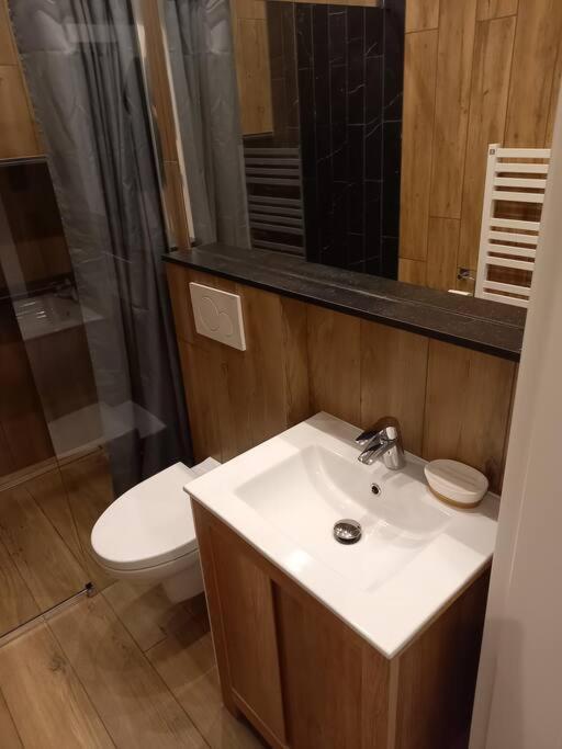Apartment Studio Delux Krakau