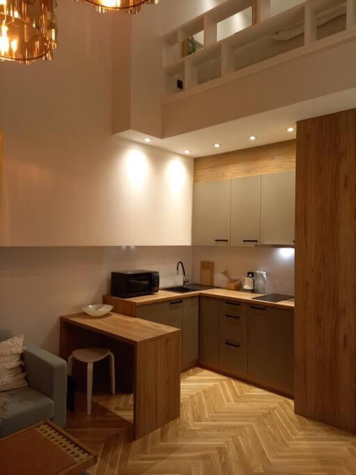 Apartment Studio Delux Krakau